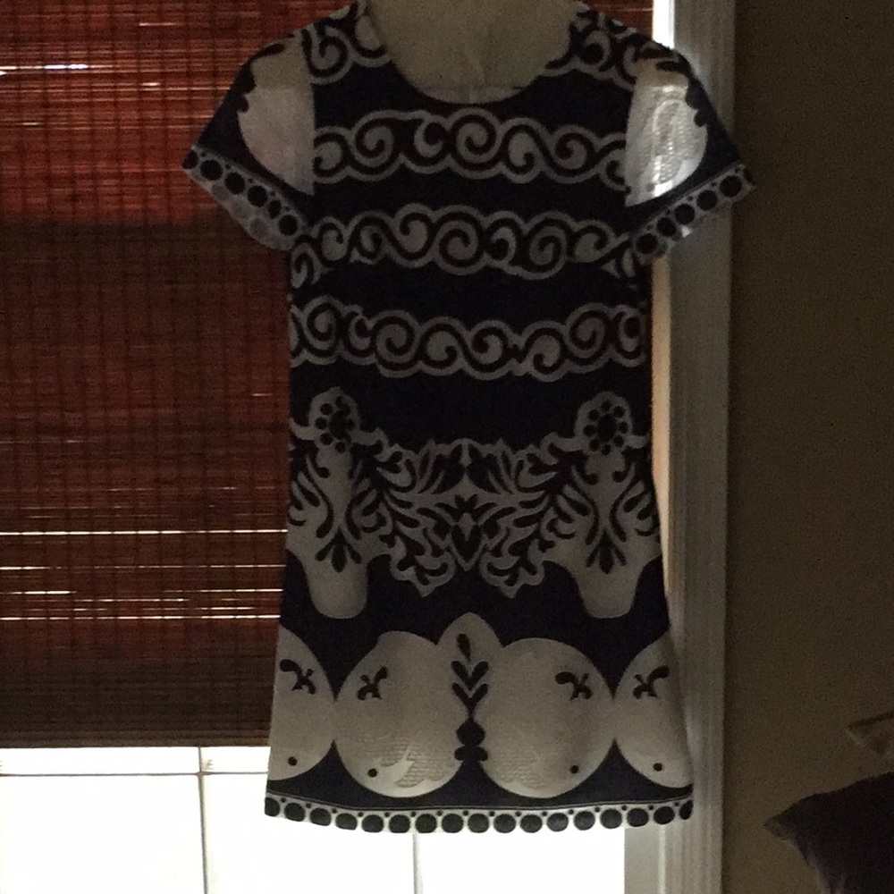 J Crew Dress